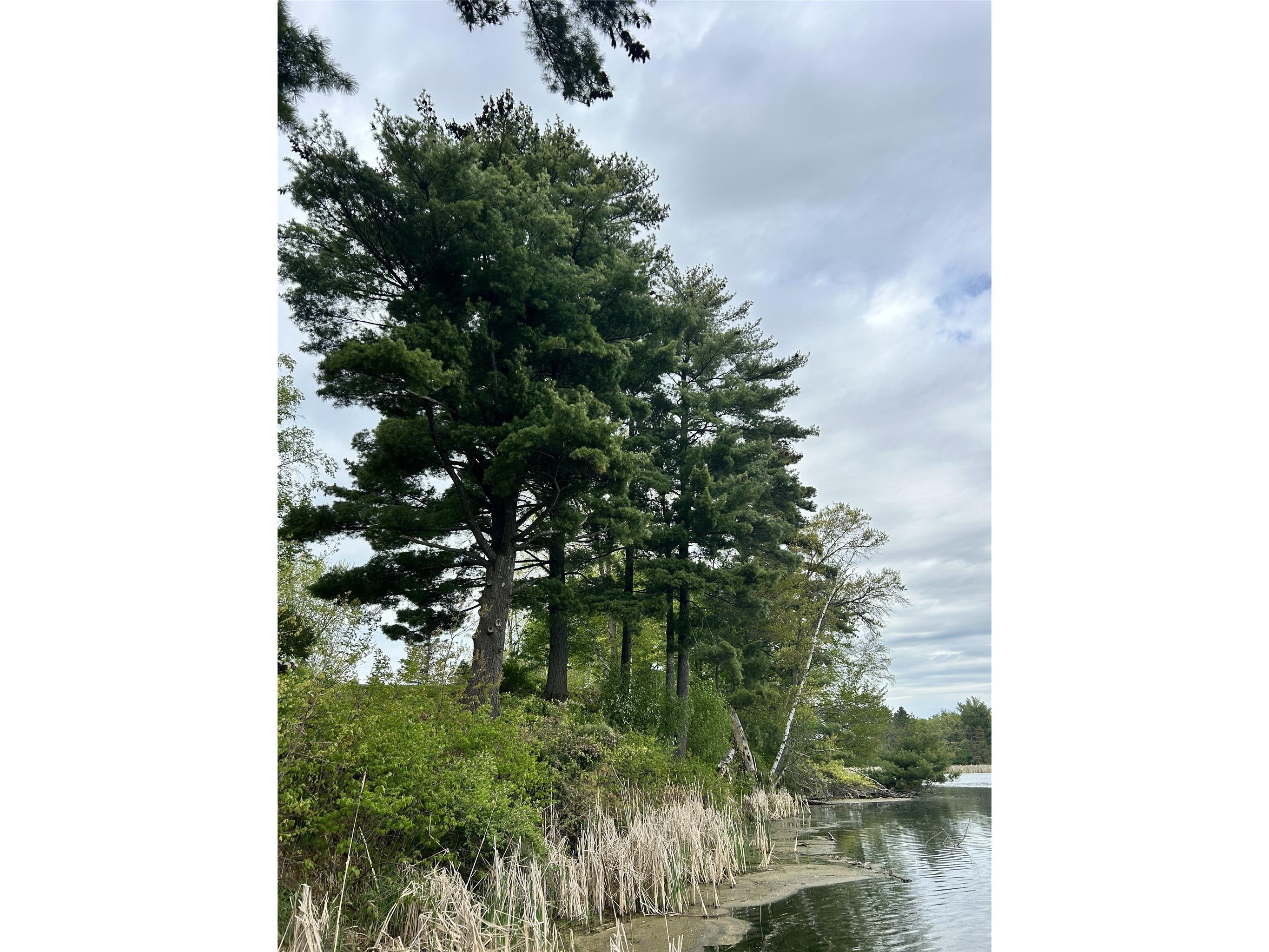 0.65 acres 21st Street Rice Lake WI 54868 - Red Cedar 1601473 image22