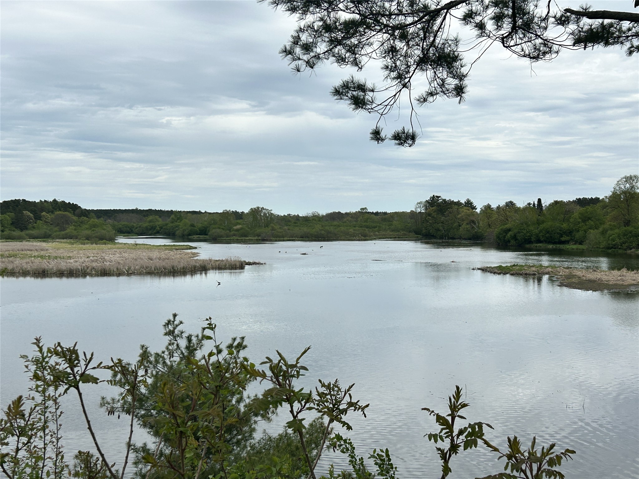 0.65 acres 21st Street Rice Lake WI 54868 - Red Cedar 1601473 image26