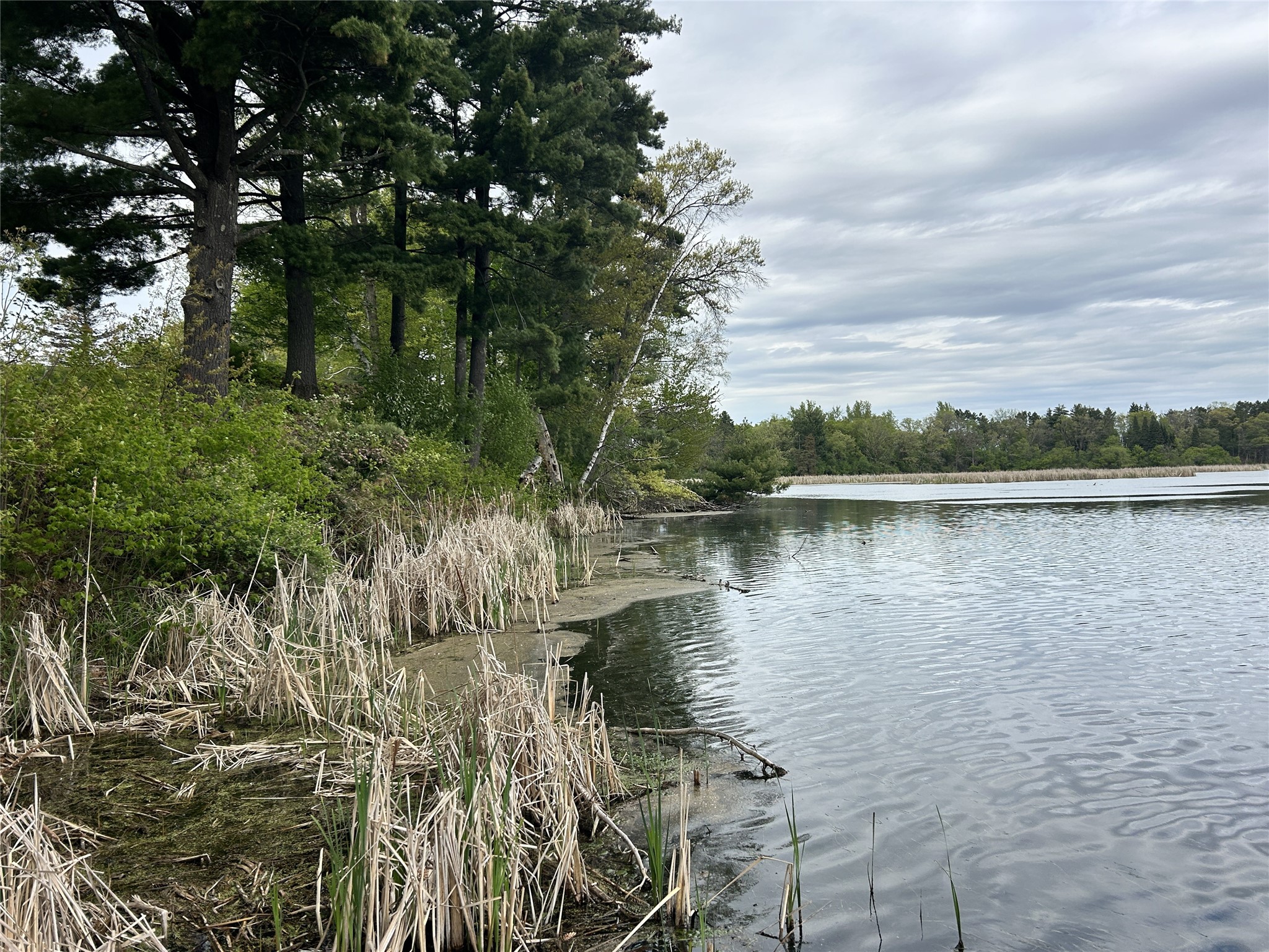 0.65 acres 21st Street Rice Lake WI 54868 - Red Cedar 1601473 image28