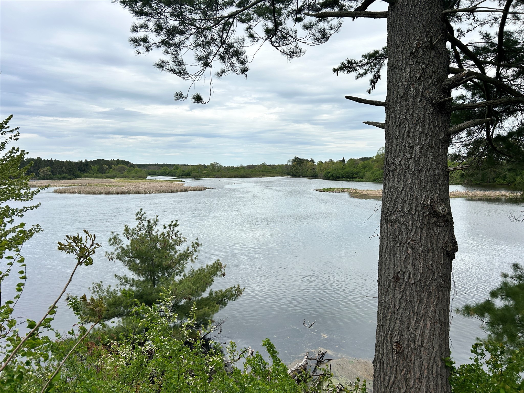 0.65 acres 21st Street Rice Lake WI 54868 - Red Cedar 1601473 image30