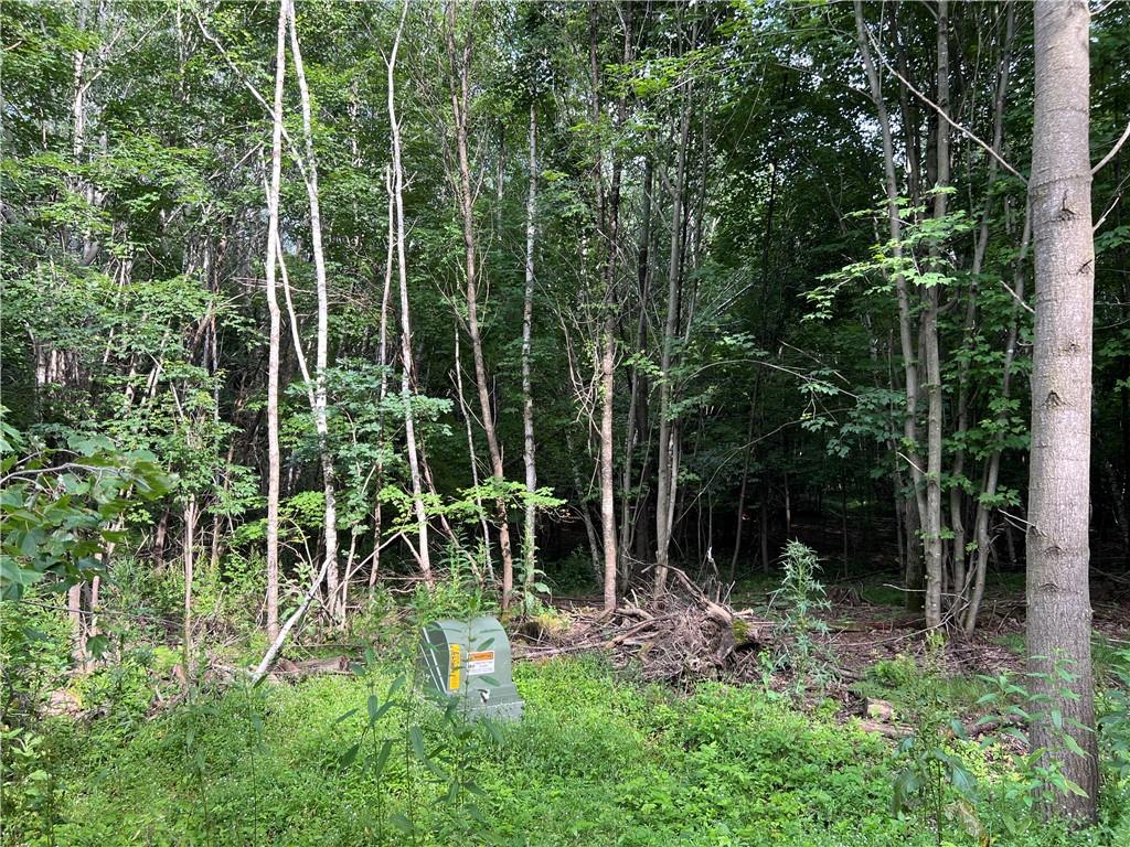 0 954th Street Colfax WI 54730 1583831 image1