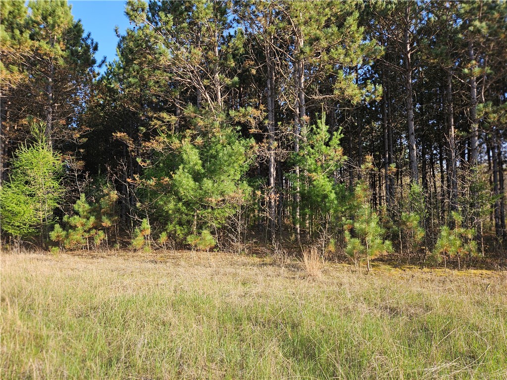 0 990th Avenue Colfax WI 54730 1591385 image2