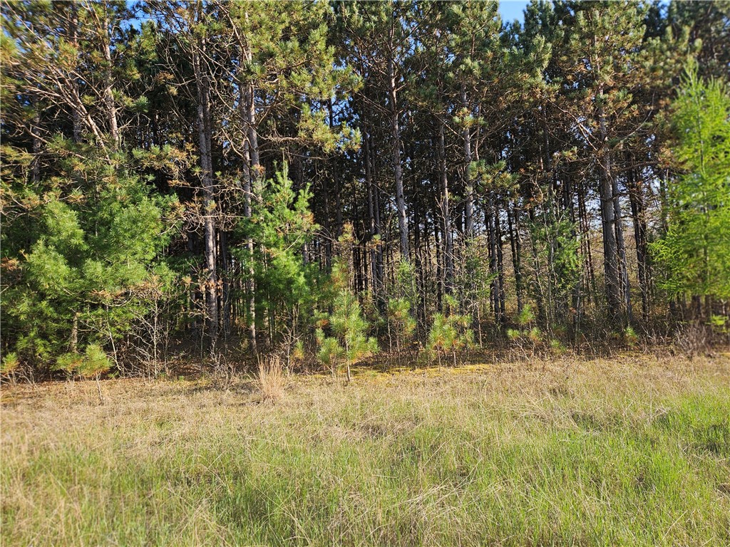 0 990th Avenue Colfax WI 54730 1591385 image3