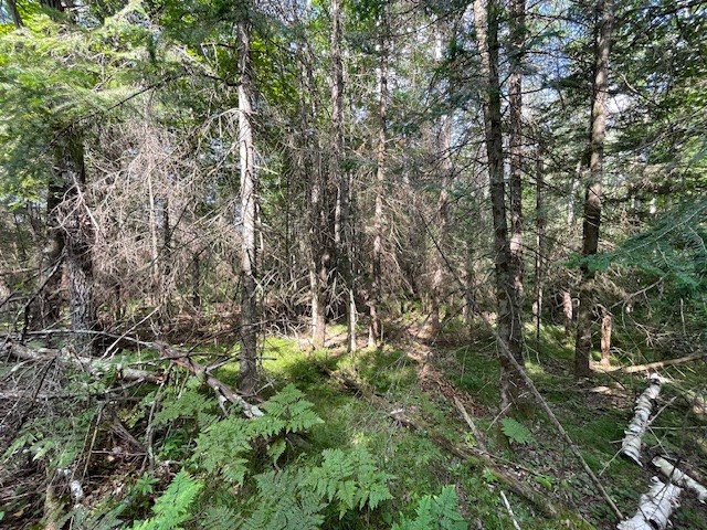 0 Airport Road Hayward WI 54843 - Namekagon 1594279 image13