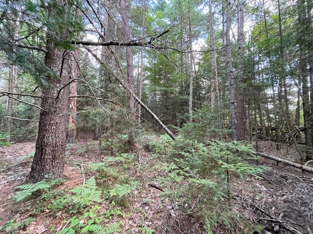 0 Airport Road Hayward WI 54843 - Namekagon 1594279 image19