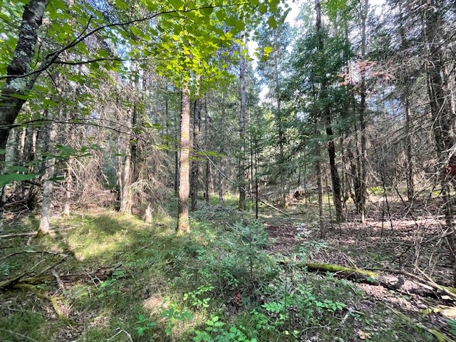 0 Airport Road Hayward WI 54843 - Namekagon 1594279 image21