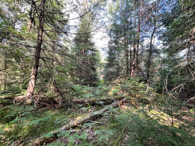 0 Airport Road Hayward WI 54843 - Namekagon 1594279 image22