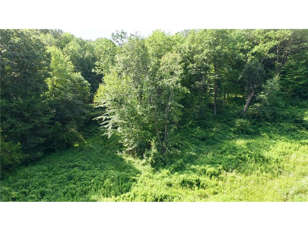 0 Albany N, Mondovi, WI 54755 MLS 1567156 Edina Realty