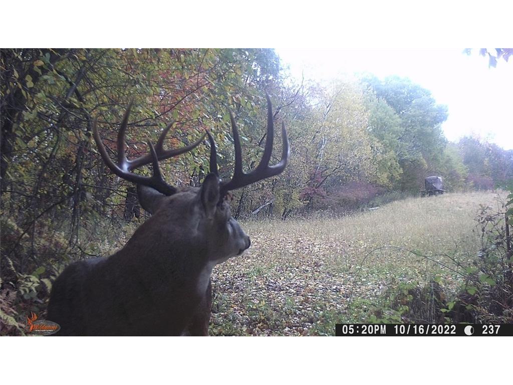 0 Baumgarten Lane Eleva WI 54738 1580547 image1