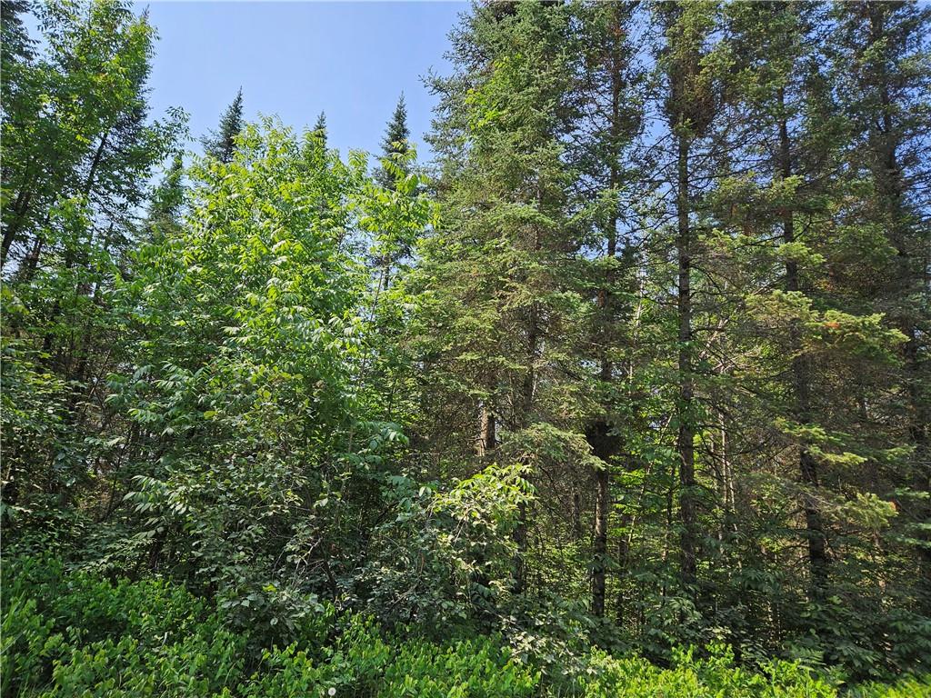 0 Beaver Brook Rd. Radisson WI 54867 1573931 image1