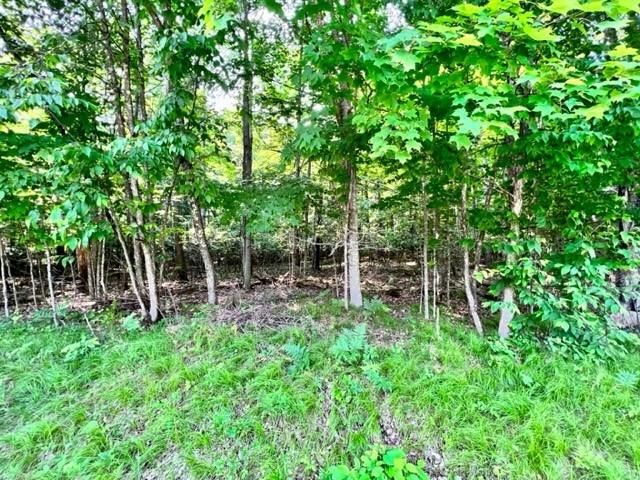0 Big Wolf Island Lot 65 Hayward WI 54843 1574529 image1