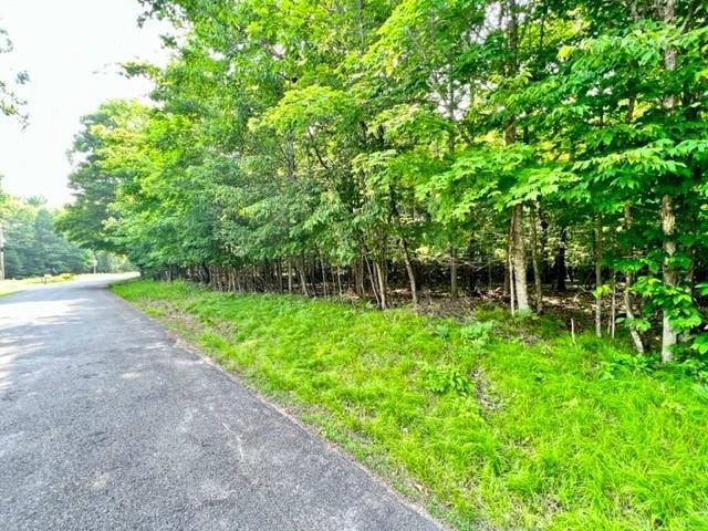 0 Big Wolf Island Lot 66 Hayward WI 54843 1574530 image1