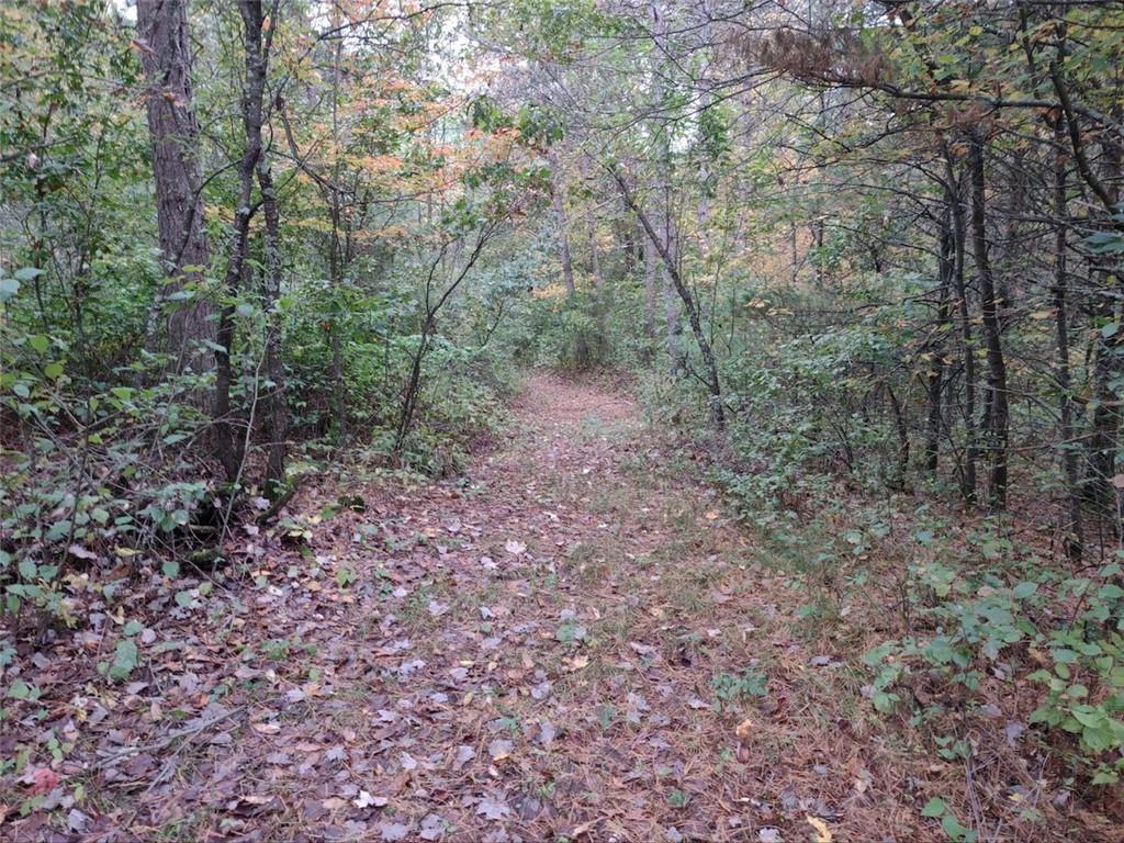 0 Black Creek Road Fairchild WI 54741 - Black Creek 1568982 image1