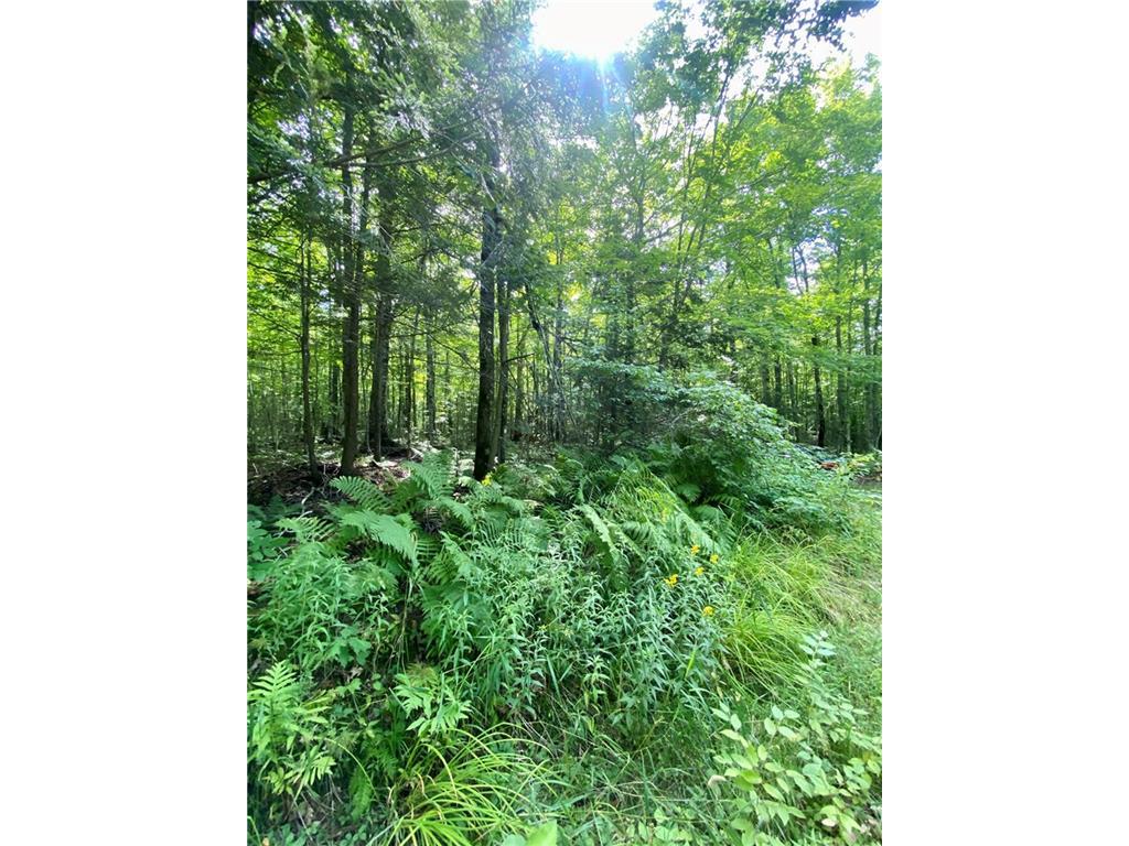 0 Blueberry Fire Lane Radisson WI 54867 1576042 image1