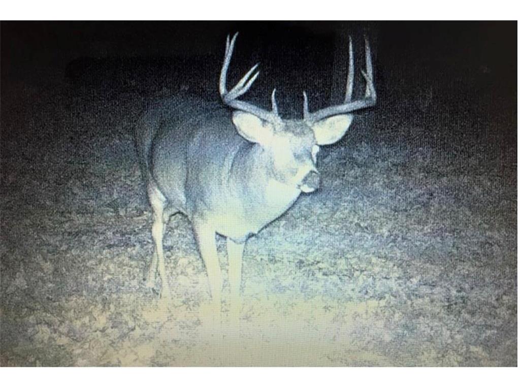 0 Bone Lake Lane Georgetown WI 54810 1577772 image1