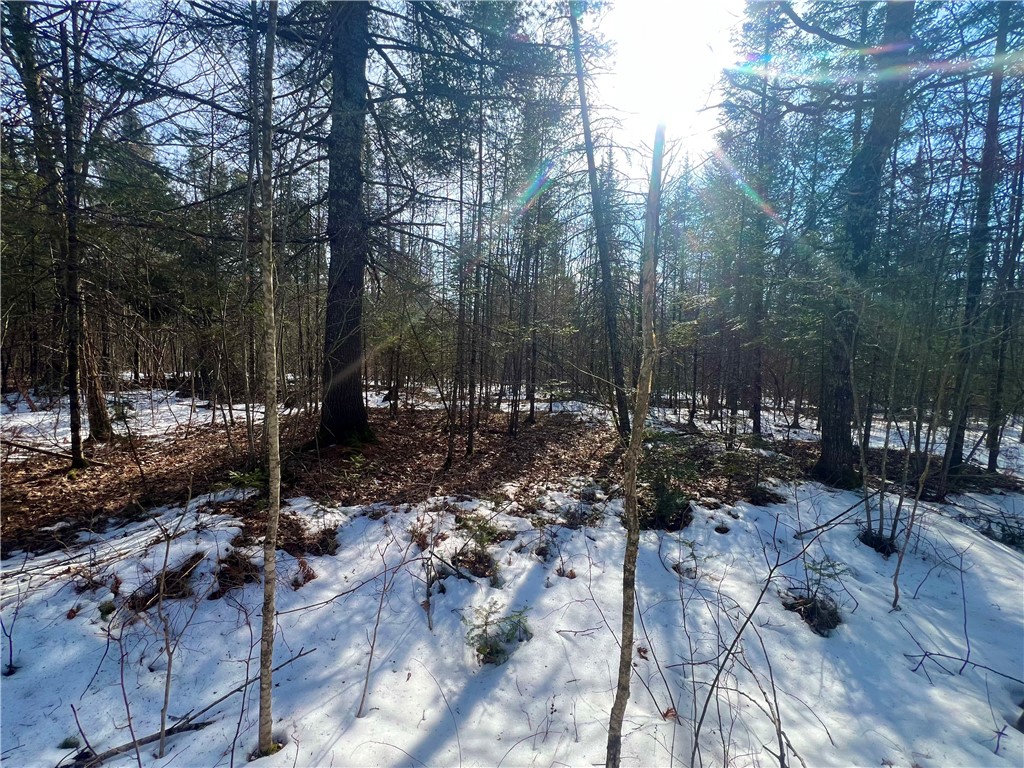 38 Acres Borrie Road Couderay WI 54828 1589233 image1