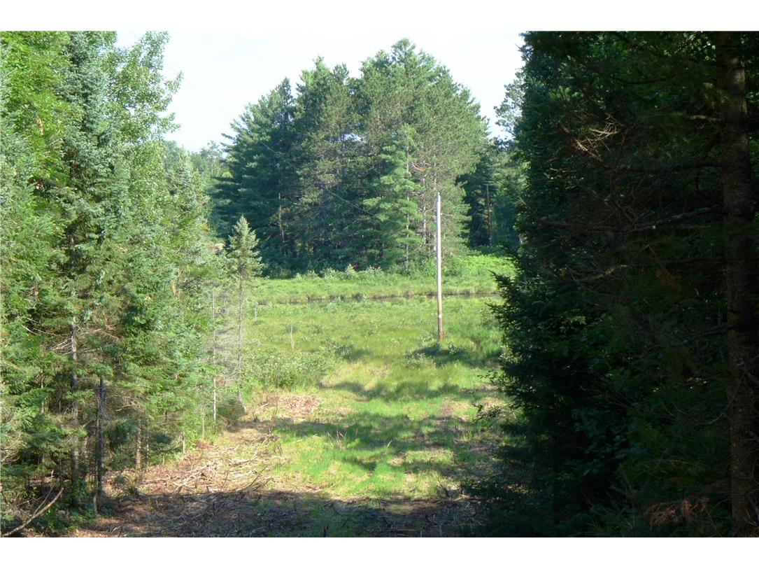 0 Brandt Road Hayward WI 54843 1601694 image1