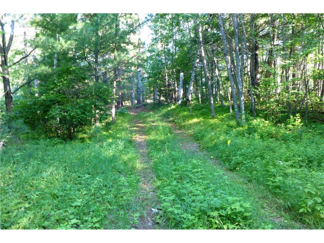 0 Brandt Road Hayward WI 54843 1601694 image5