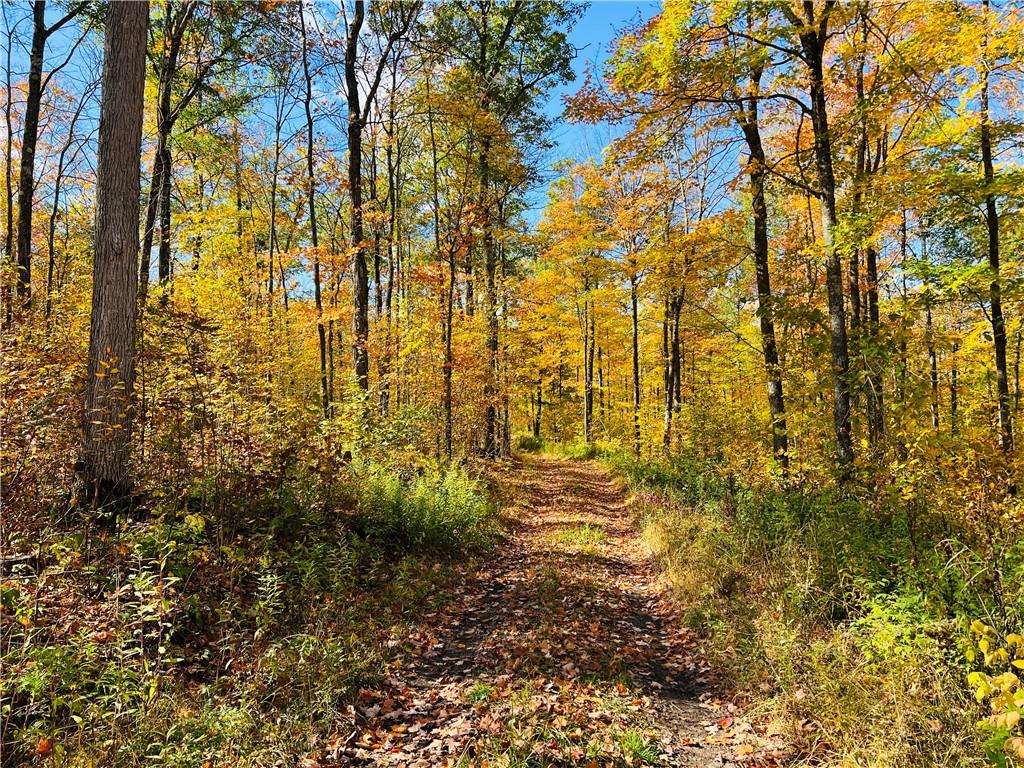 0 Breakneck Road Birchwood WI 54817 1577394 image1