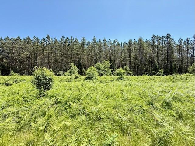 0 Brook Lane Hayward MN 54843 1592671 image1