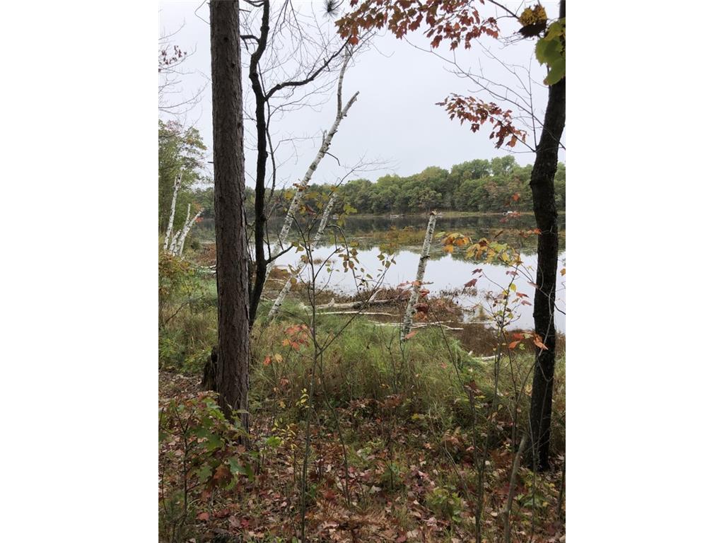 0 Brown Road Danbury WI 54830 - Lucerne Lake 1559252 image1