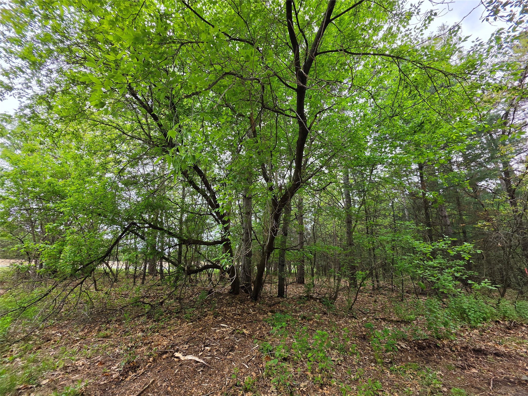 0 Buena Vista Road Lot 1 Eau Claire WI 54703 1601339 image10