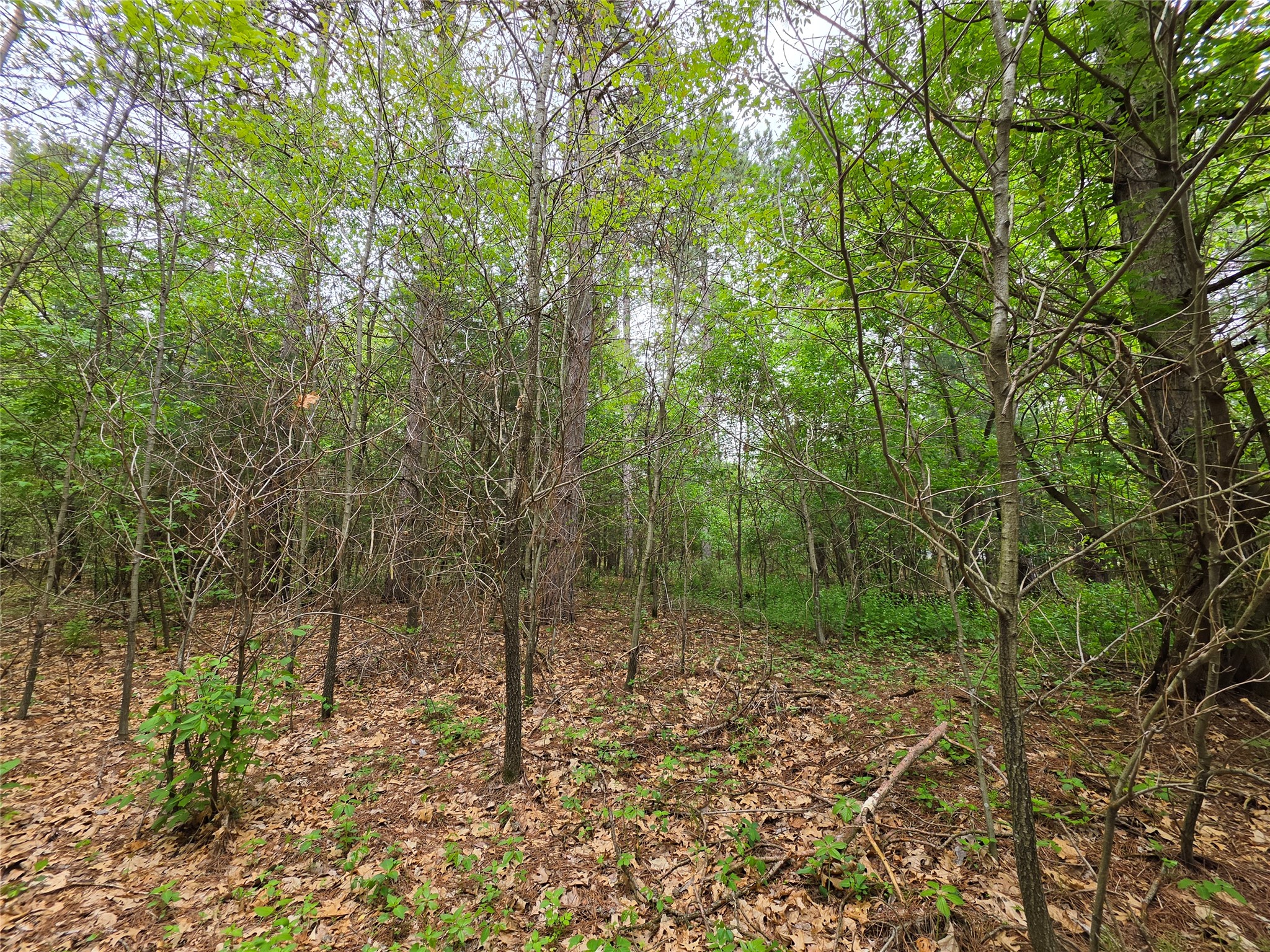 0 Buena Vista Road Lot 1 Eau Claire WI 54703 1601339 image11