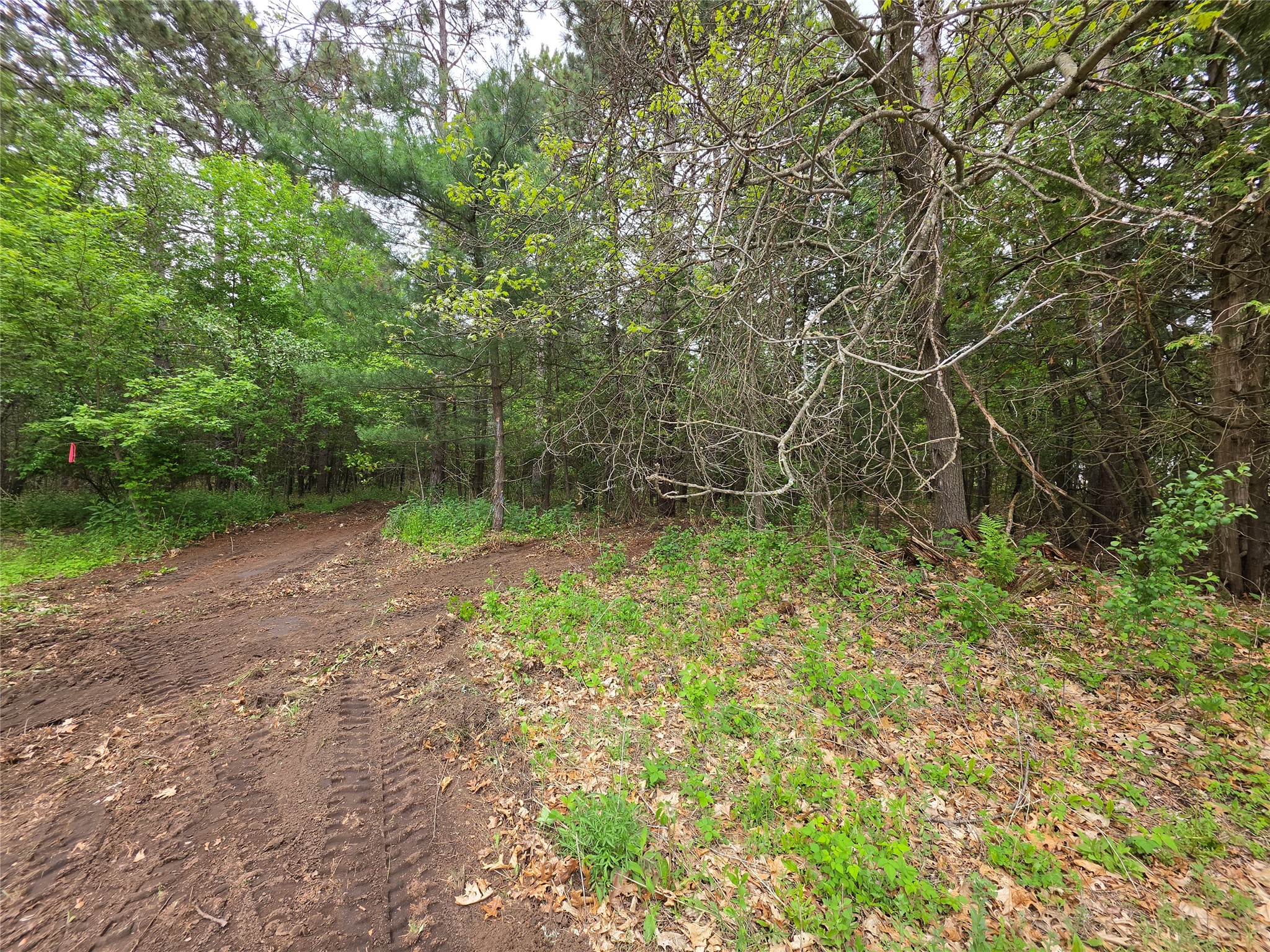 0 Buena Vista Road Lot 1 Eau Claire WI 54703 1601339 image6
