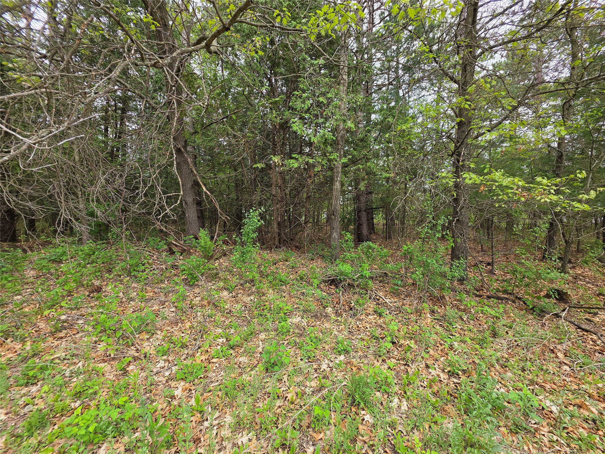 0 Buena Vista Road Lot 1 Eau Claire WI 54703 1601339 image9