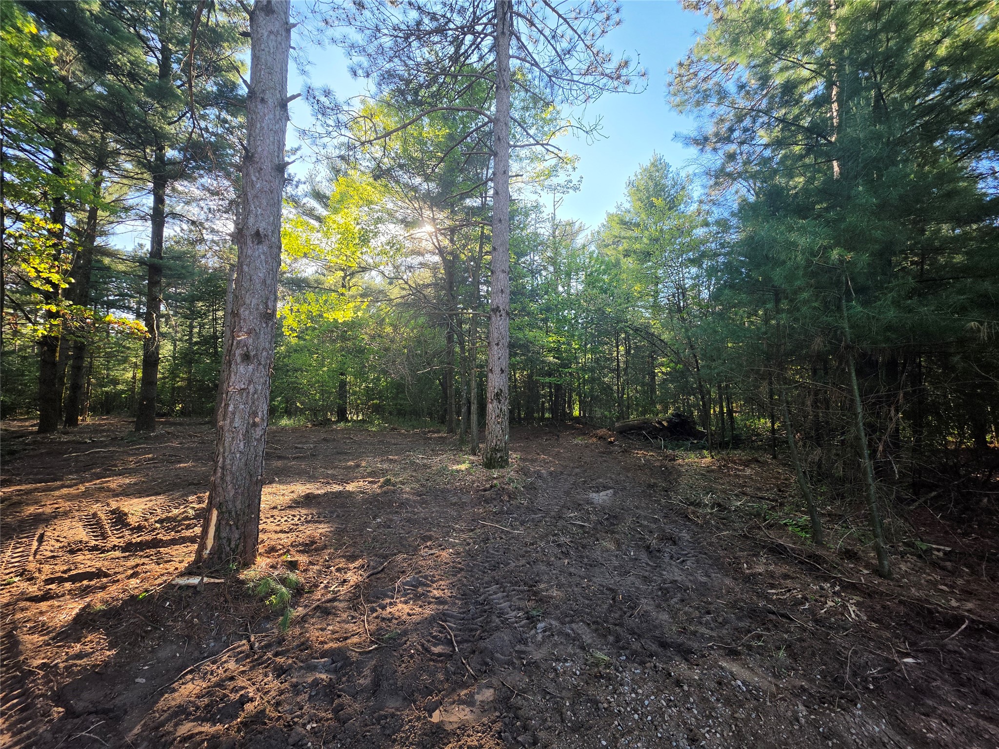0 Buena Vista Road Lot 4 Eau Claire WI 54703 1601344 image11