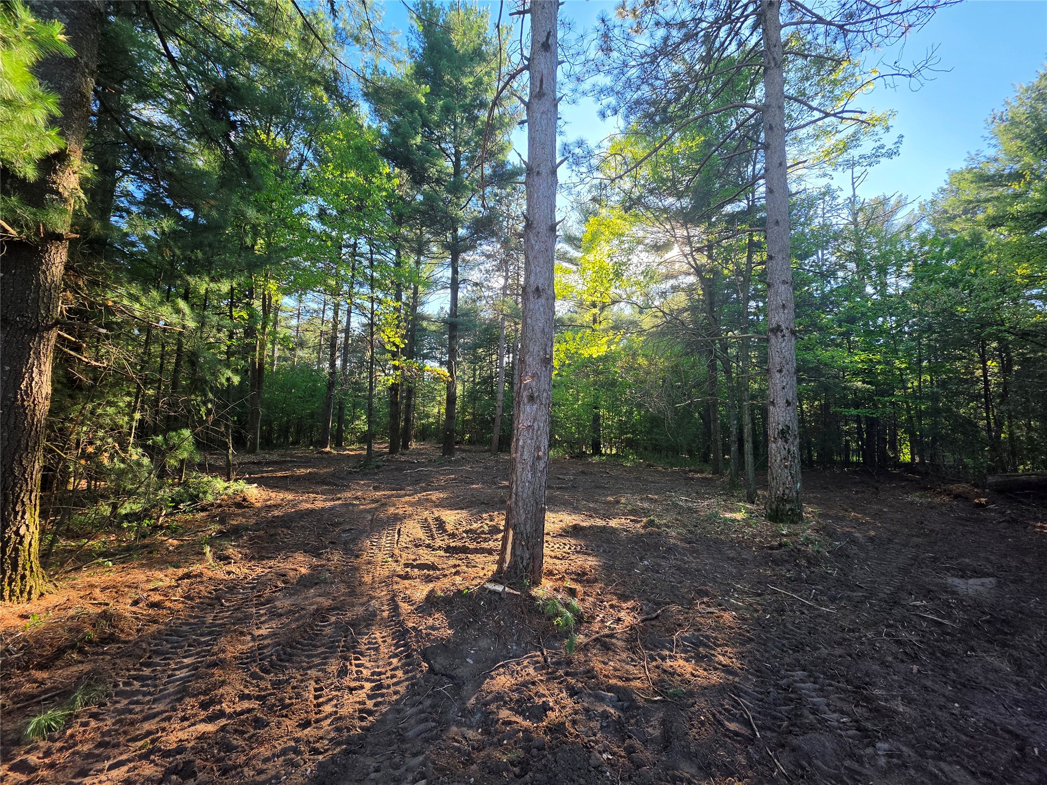 0 Buena Vista Road Lot 4 Eau Claire WI 54703 1601344 image12
