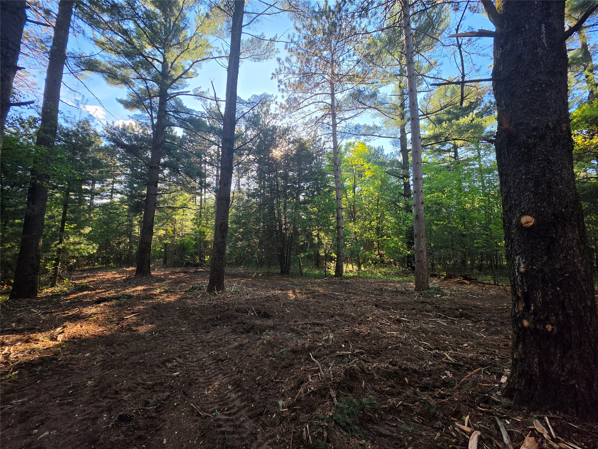 0 Buena Vista Road Lot 4 Eau Claire WI 54703 1601344 image17