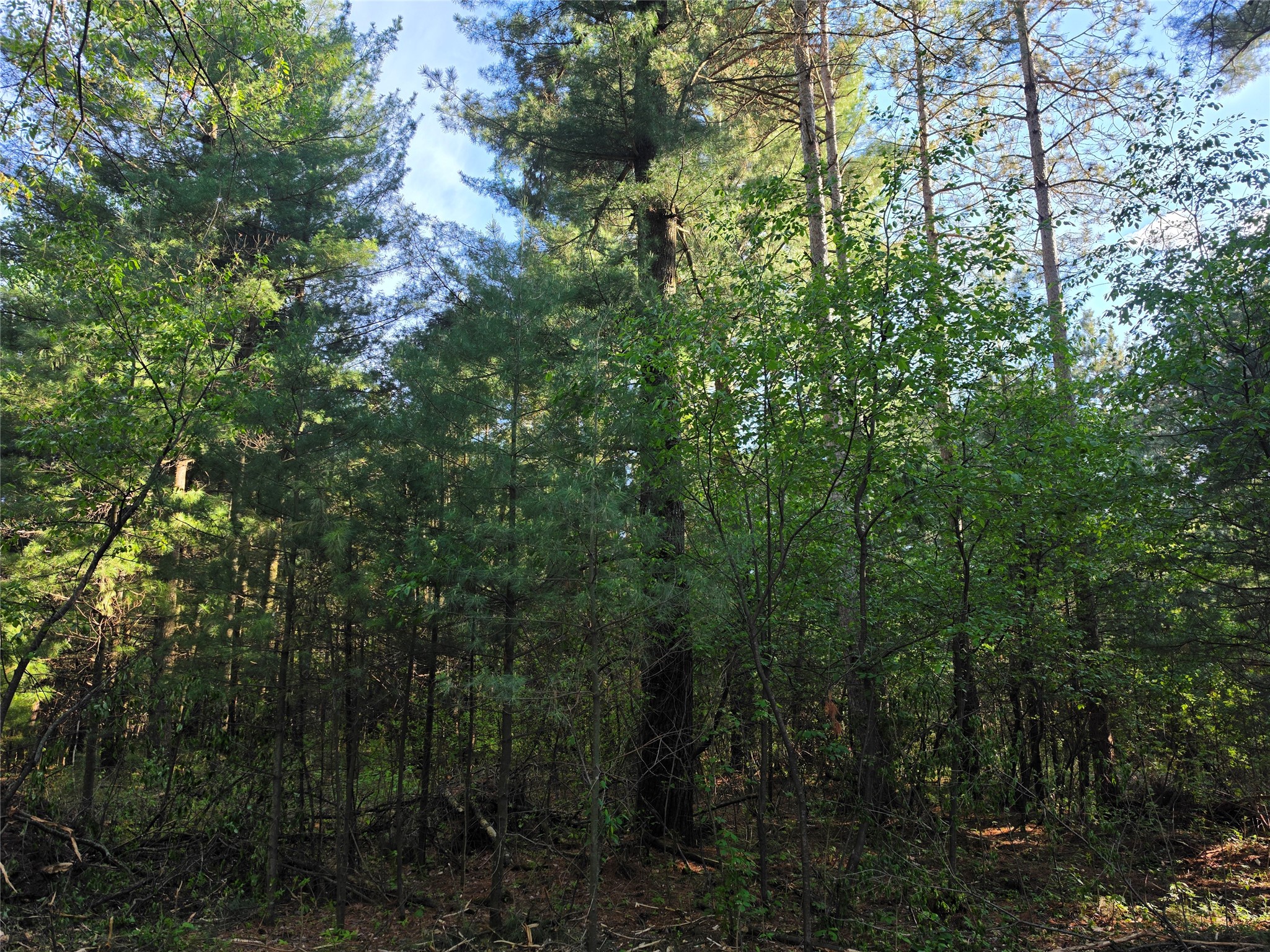 0 Buena Vista Road Lot 4 Eau Claire WI 54703 1601344 image18