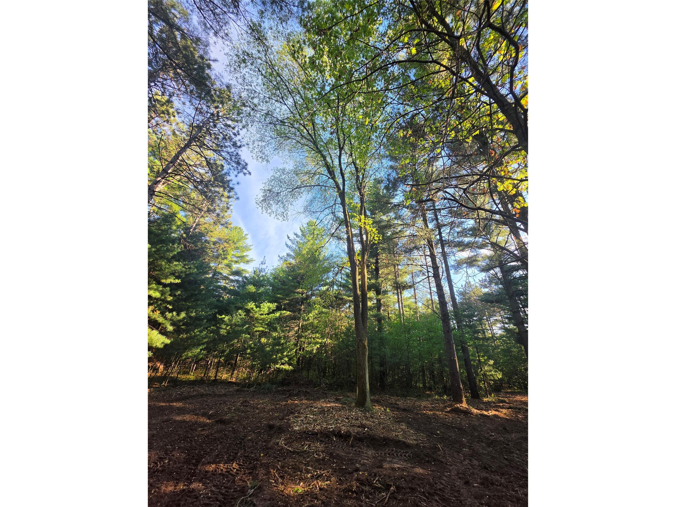 0 Buena Vista Road Lot 4 Eau Claire WI 54703 1601344 image19