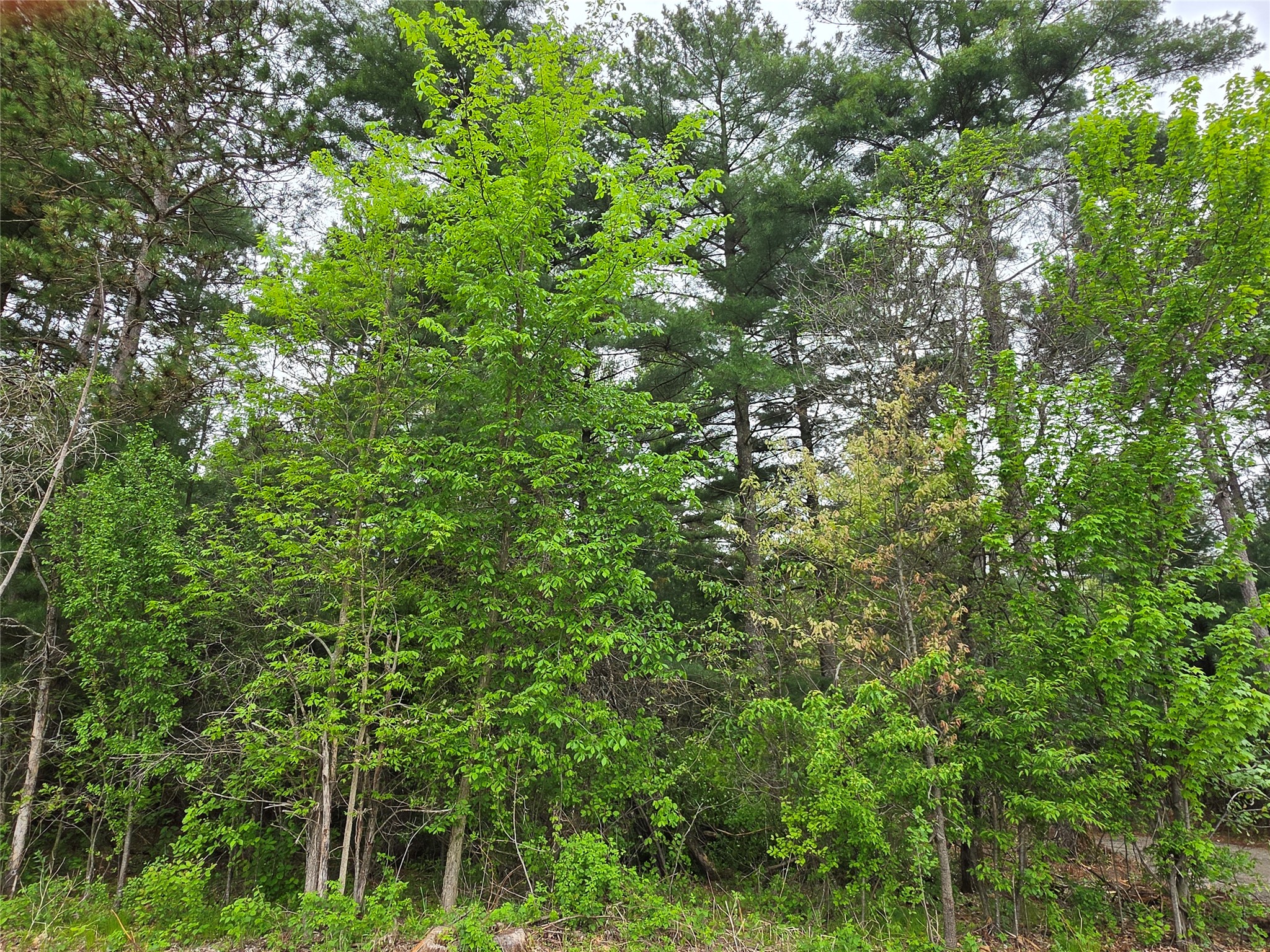 0 Buena Vista Road Lot 4 Eau Claire WI 54703 1601344 image20