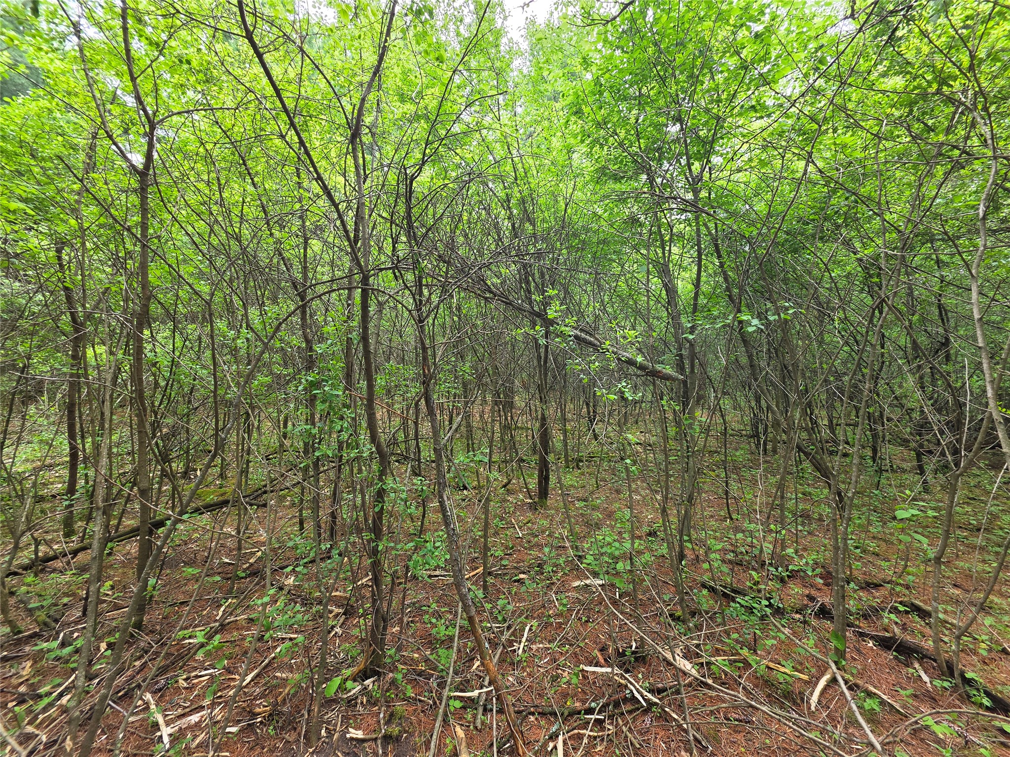 0 Buena Vista Road Lot 4 Eau Claire WI 54703 1601344 image21