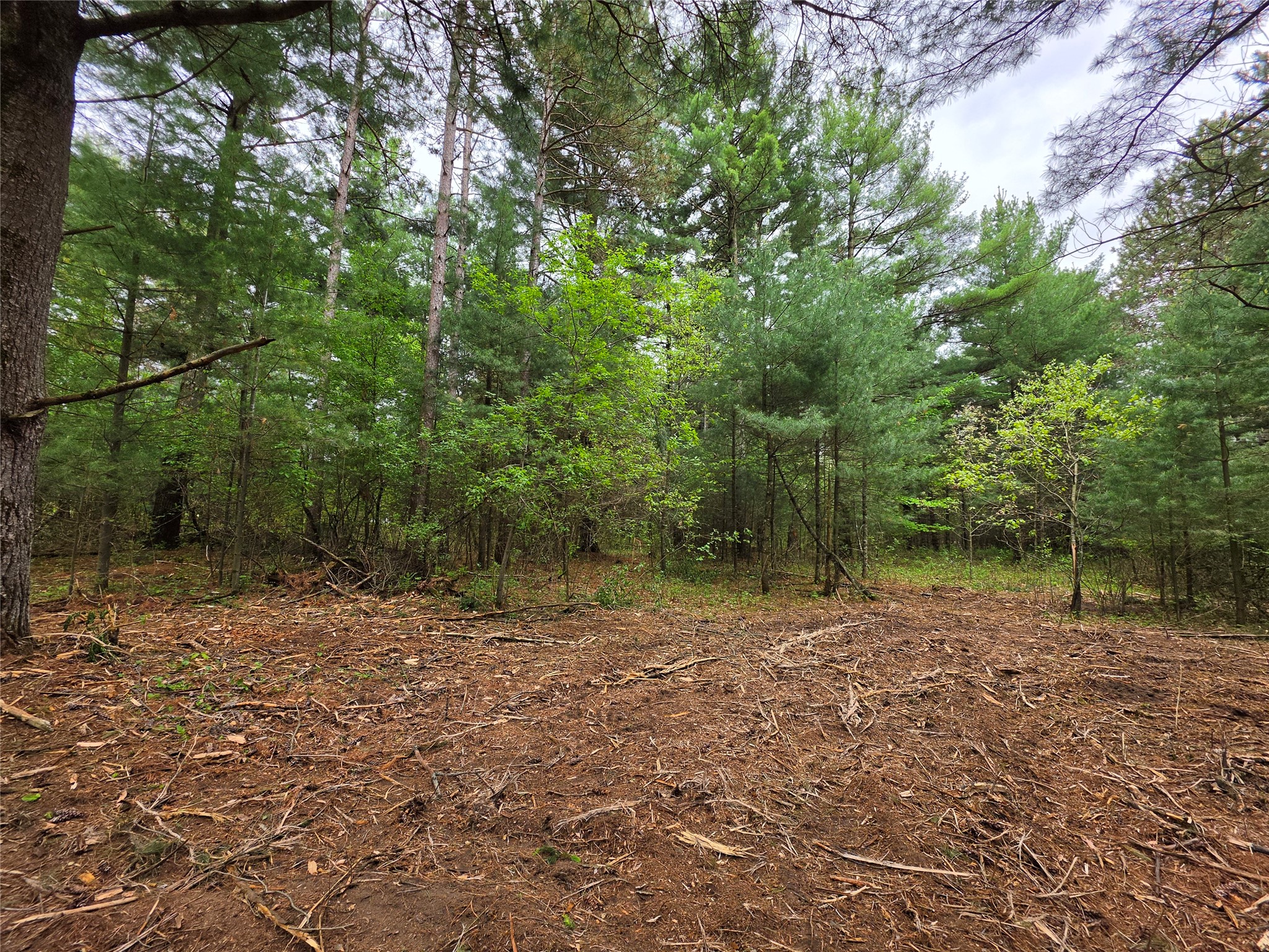 0 Buena Vista Road Lot 4 Eau Claire WI 54703 1601344 image5