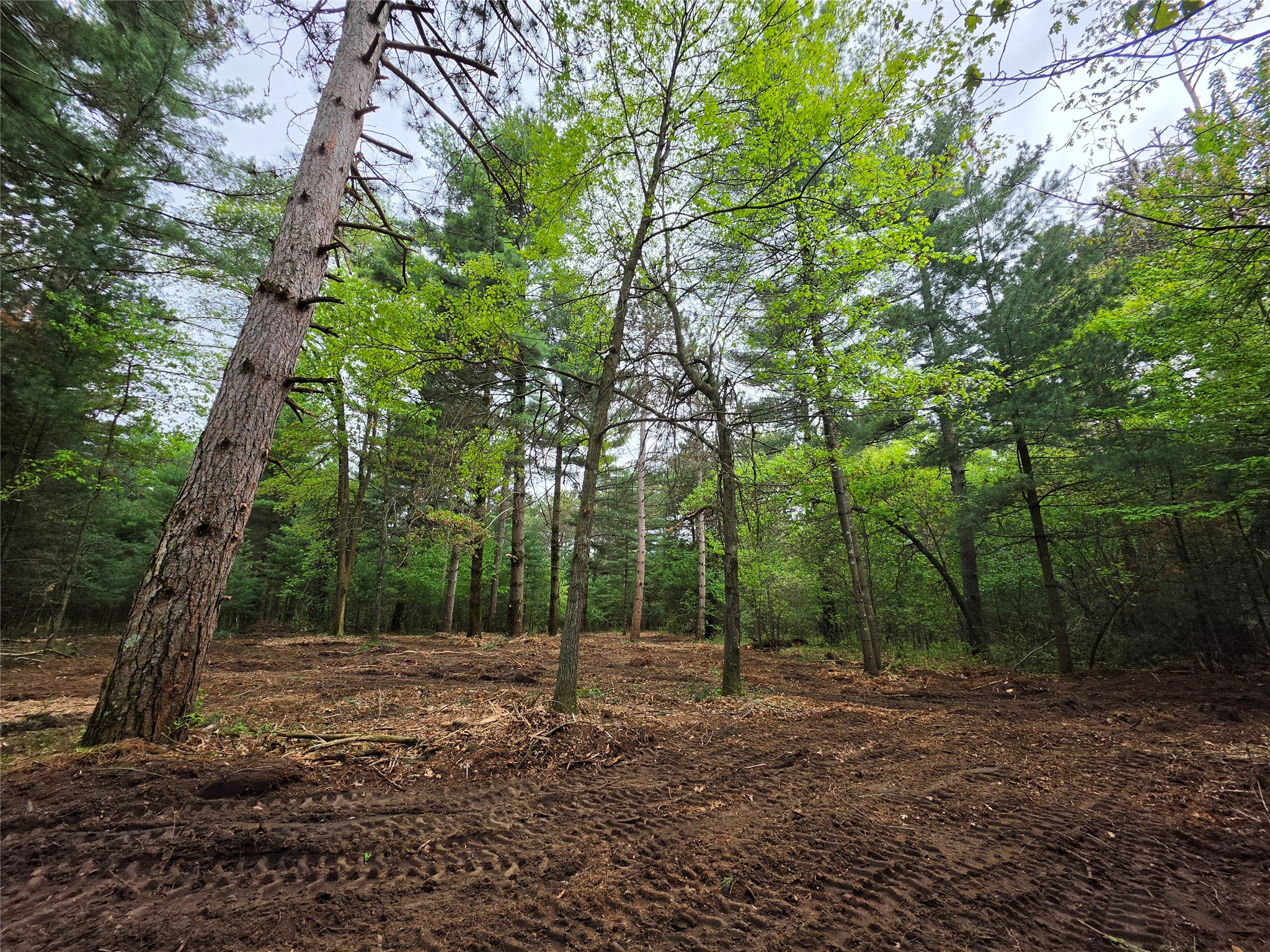 0 Buena Vista Road Lot 4 Eau Claire WI 54703 1601344 image6