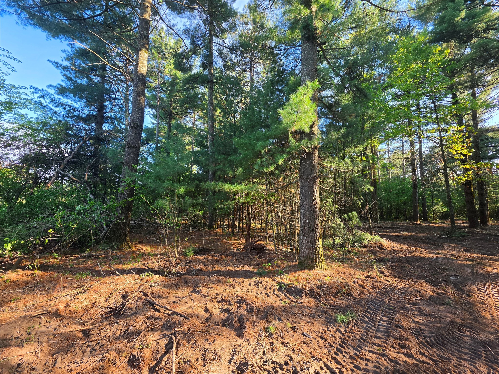 0 Buena Vista Road Lot 4 Eau Claire WI 54703 1601344 image9