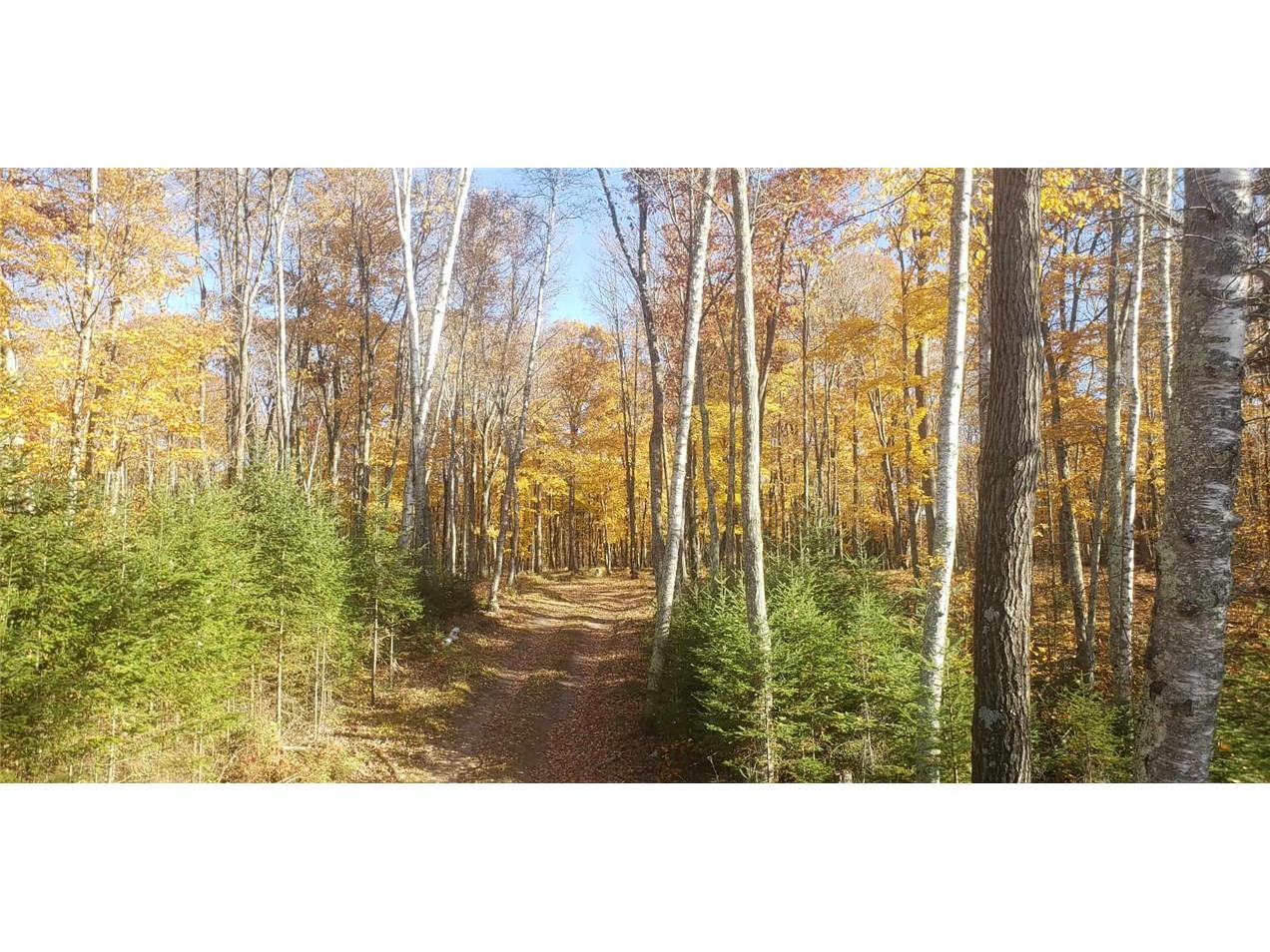 0 Callahan Lake Road Hayward WI 54843 - Callahan 1597075 image11