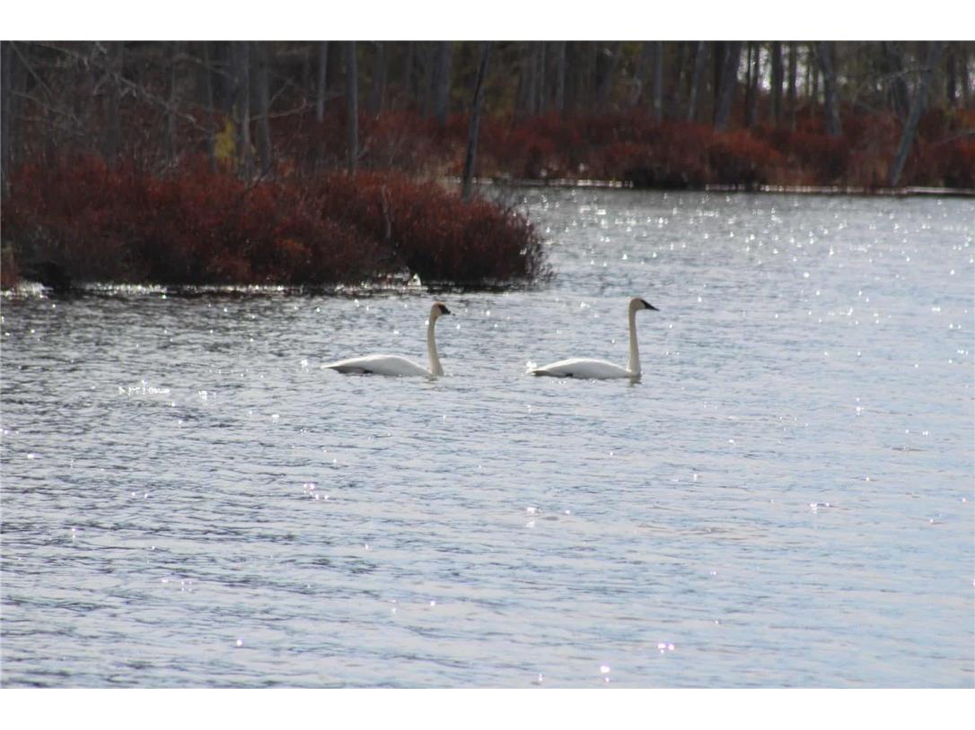 0 Callahan Lake Road Hayward WI 54843 - Callahan 1597075 image12