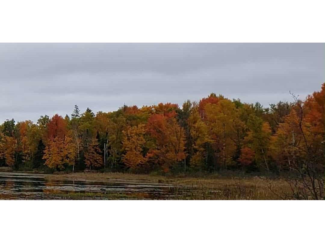 0 Callahan Lake Road Hayward WI 54843 - Callahan 1597075 image16