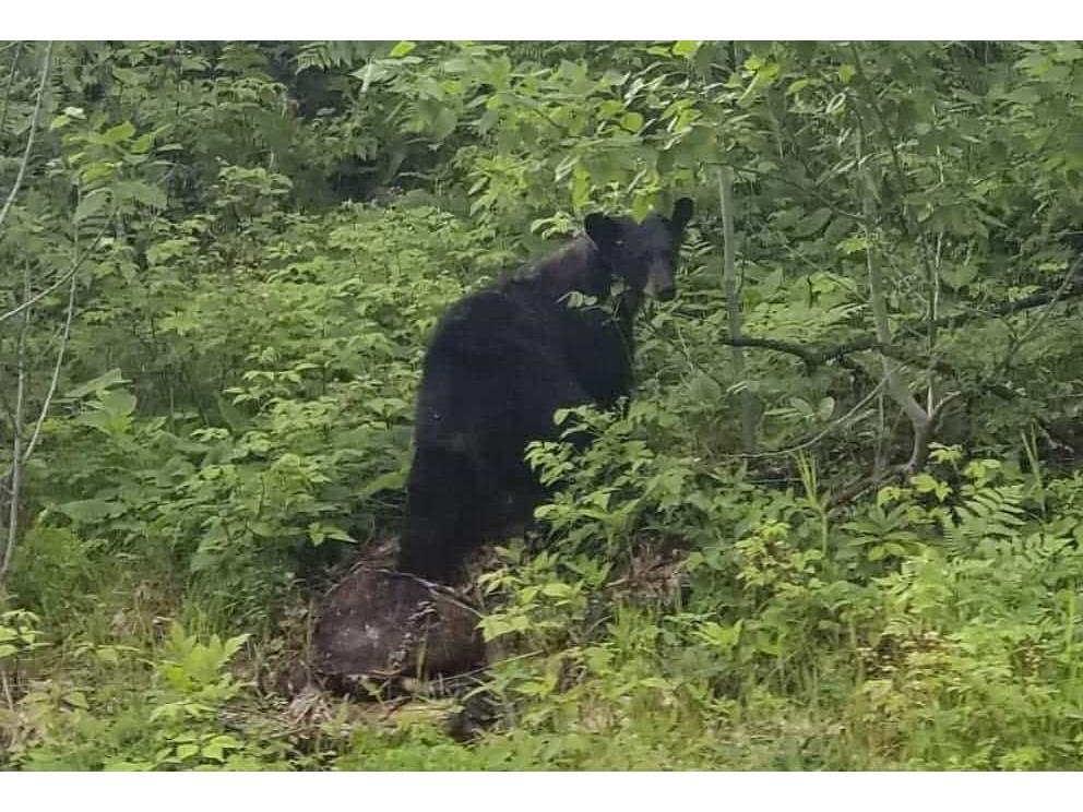 0 Callahan Lake Road Hayward WI 54843 - Callahan 1597075 image22