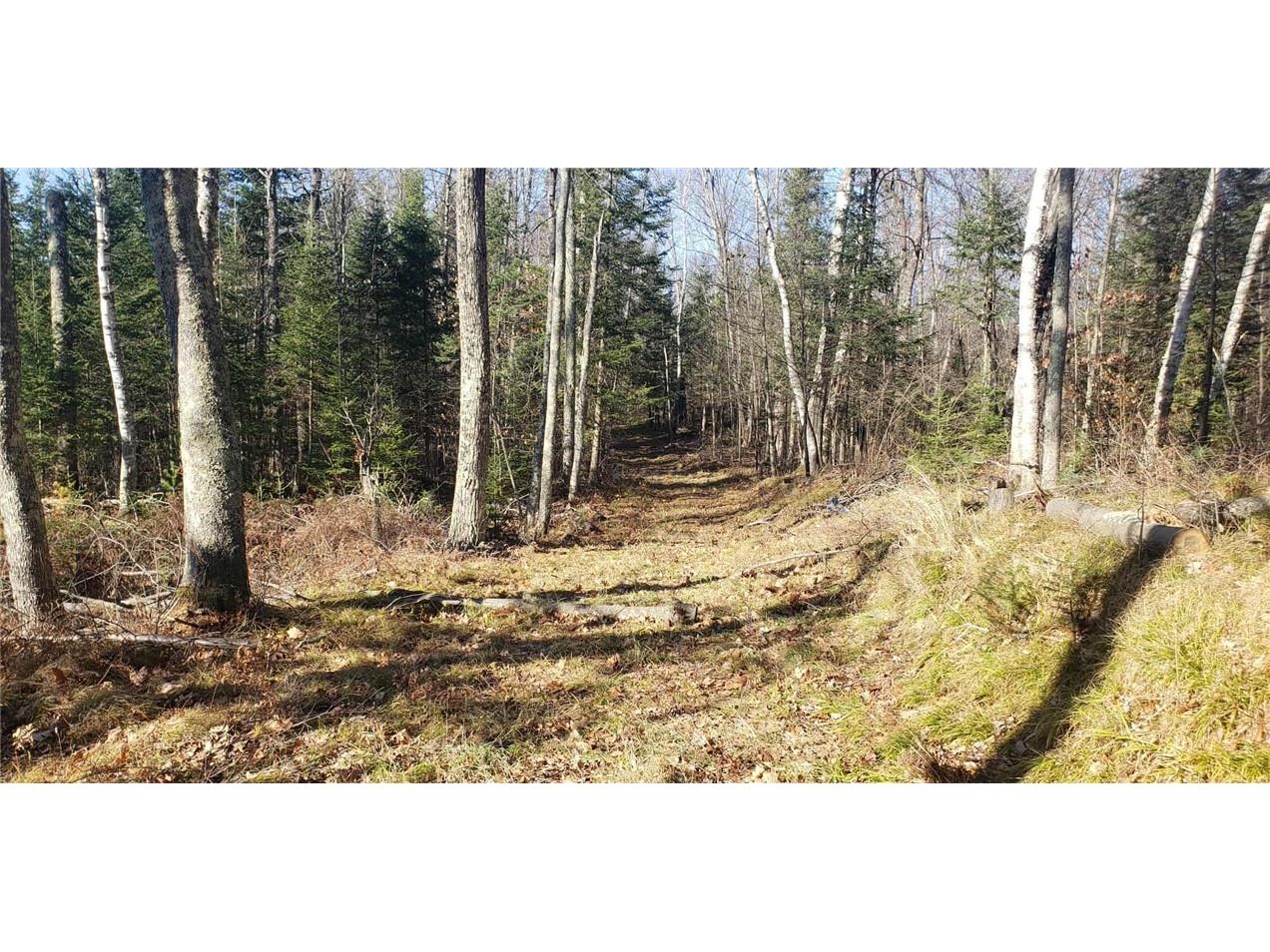 0 Callahan Lake Road Hayward WI 54843 - Callahan 1597075 image7