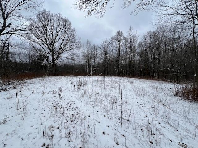 0 Canaday Road Exeland WI 54835 - Swan Lake 1579002 image1