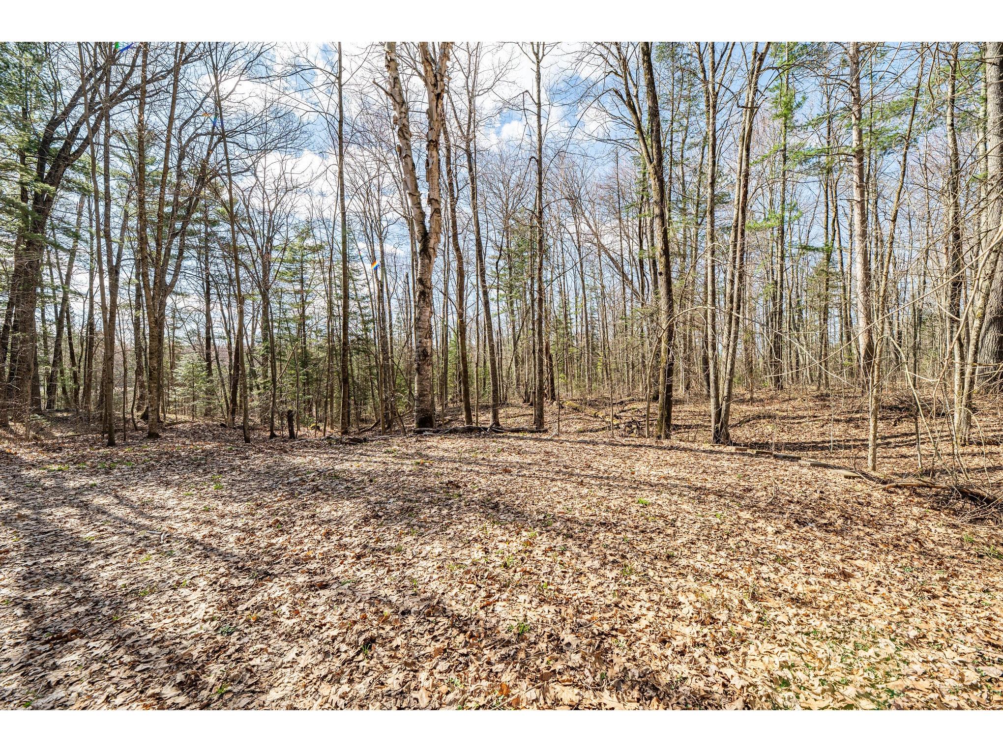 0 Castaway Lane Hayward WI 54843 - Chippewa 1600225 image10
