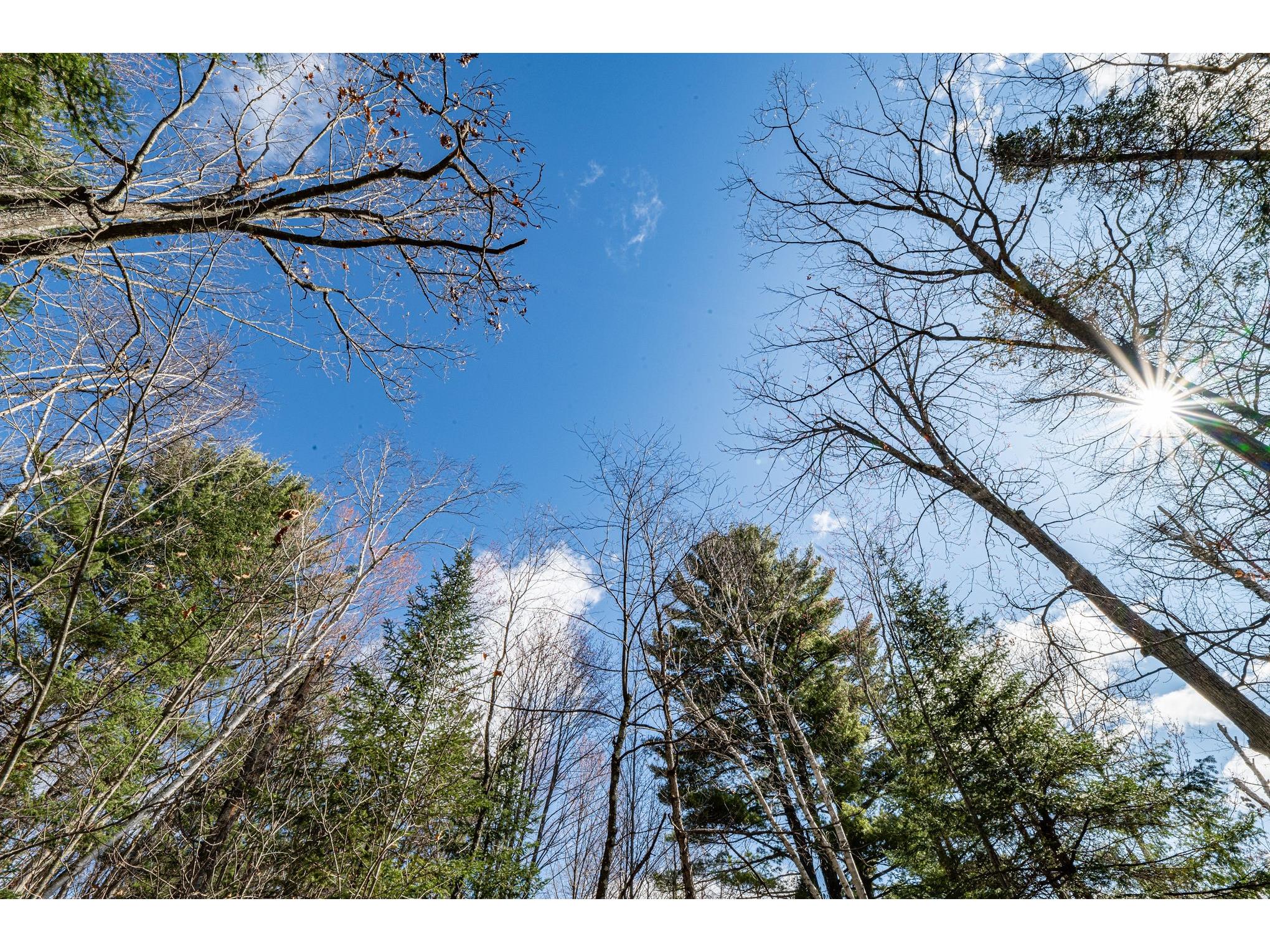 0 Castaway Lane Hayward WI 54843 - Chippewa 1600225 image16