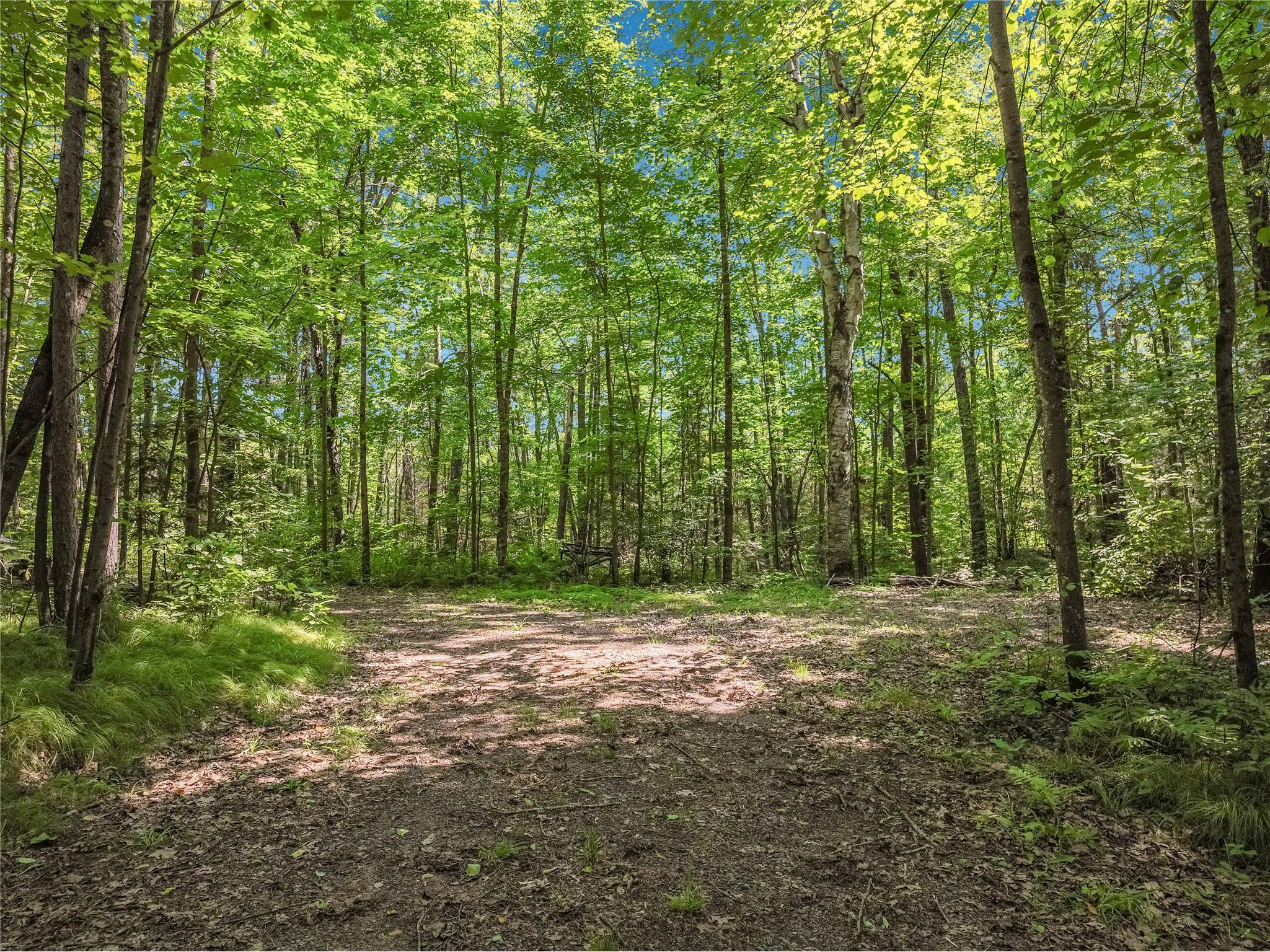 0 Castaway Lane Hayward WI 54843 - Chippewa 1600225 image35