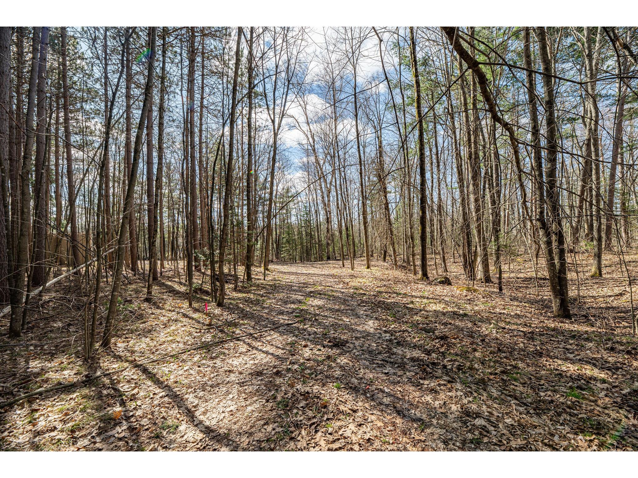 0 Castaway Lane Hayward WI 54843 - Chippewa 1600225 image9