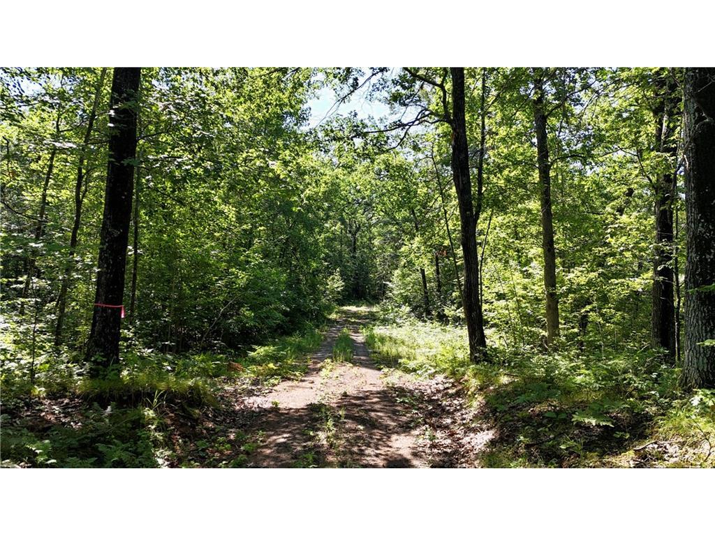 0 Chicog Lake Road Trego WI 54888 - Acorn Lake 1584530 image1